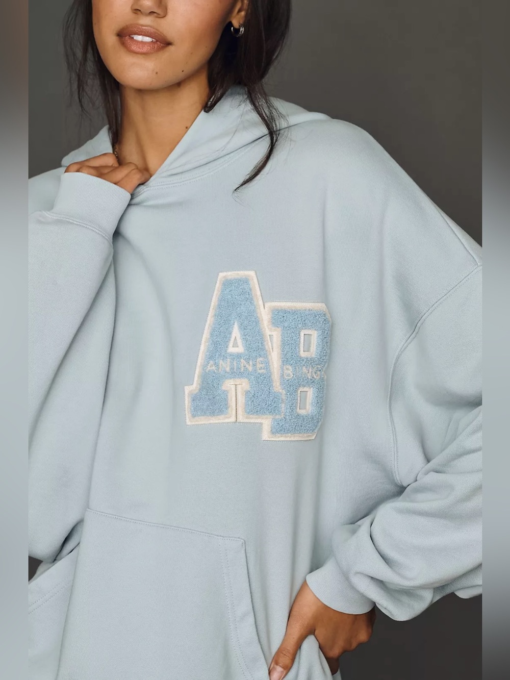 NWT Anine Bing Harvey Hooded 100% Cotton Sweatshirt - Picture 4 of 4